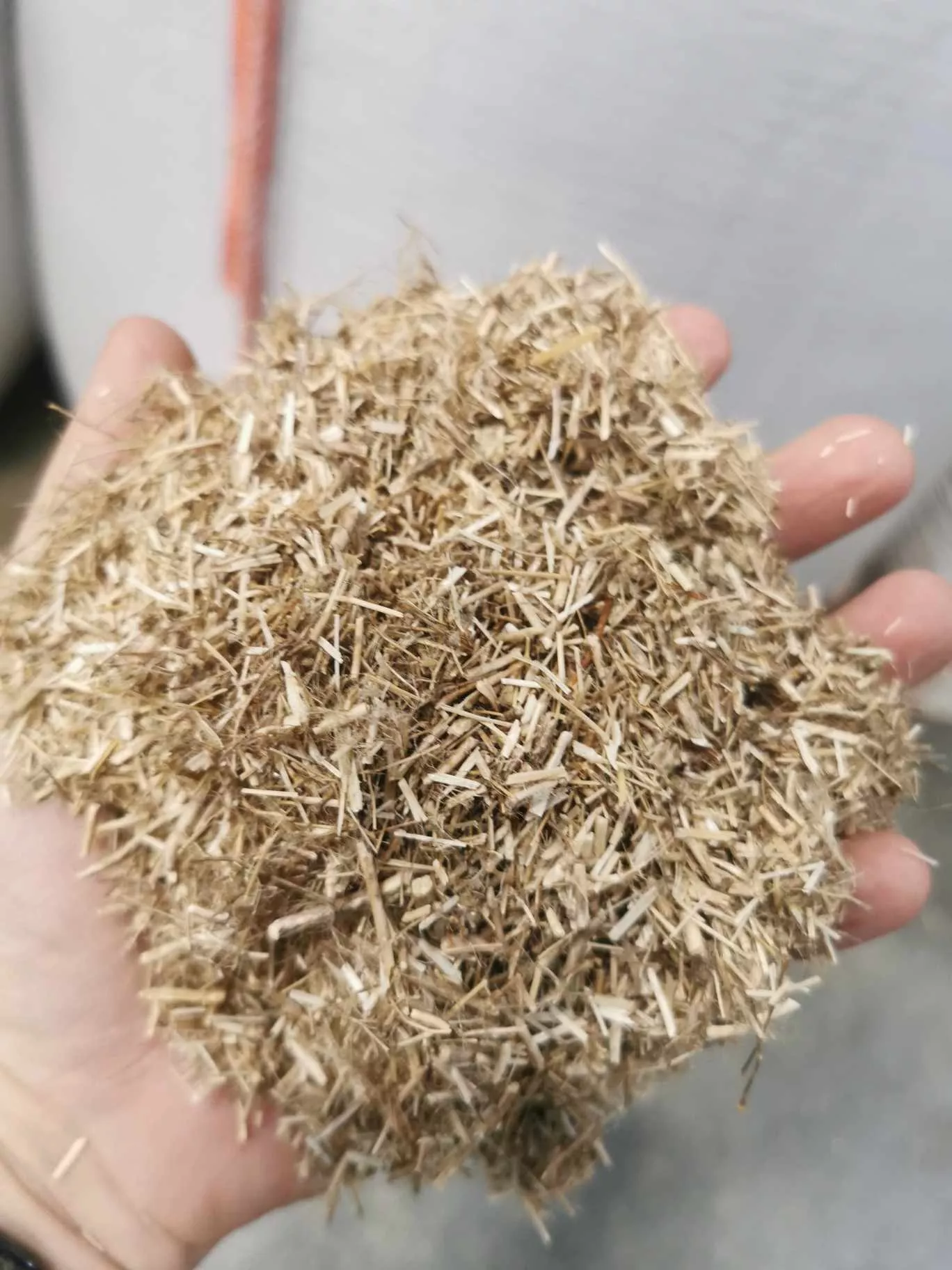Handful of LinoBed flax bedding showing particle size