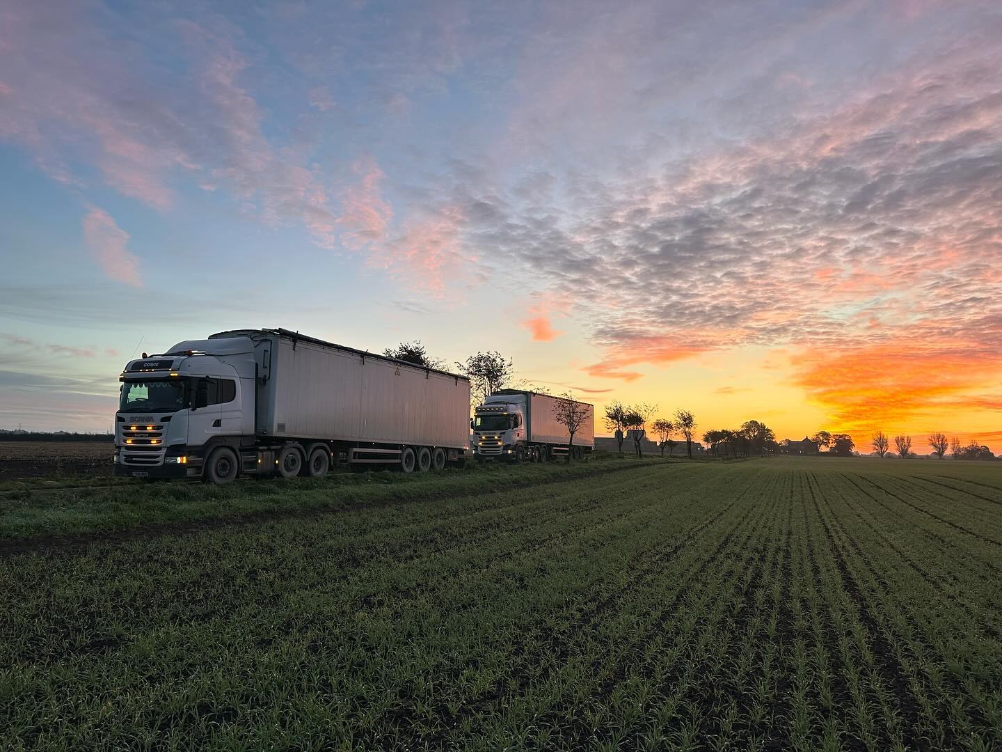 LinoBed pallets prepared for outdoor transport